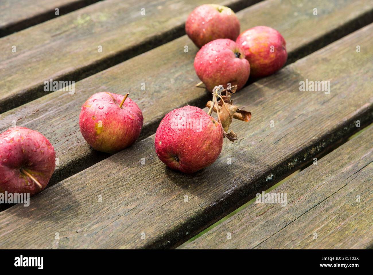 Pommes sur une table de jardin Banque D'Images