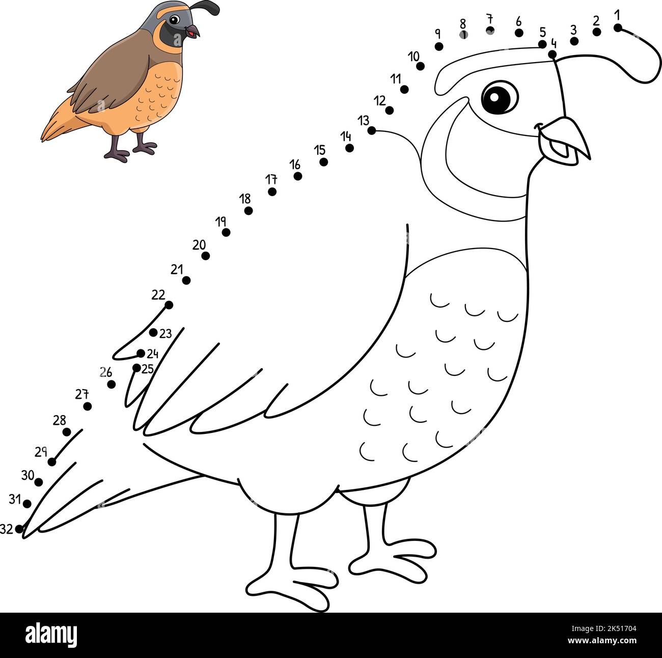 Page de coloriage isolé animal à Quail point à point Illustration de Vecteur