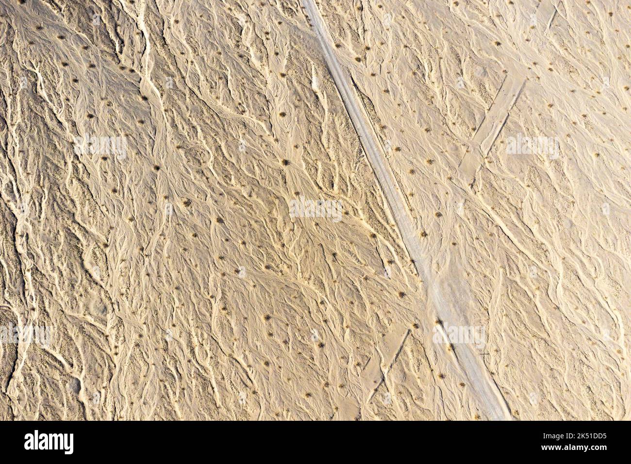 Vue aérienne des plantes qui poussent sur les dunes de sable par beau temps dans le parc national de la Vallée de la mort en Californie Banque D'Images