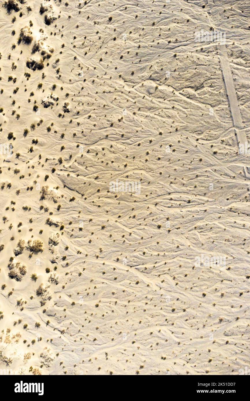 Vue aérienne des plantes qui poussent sur les dunes de sable par beau temps dans le parc national de la Vallée de la mort en Californie Banque D'Images