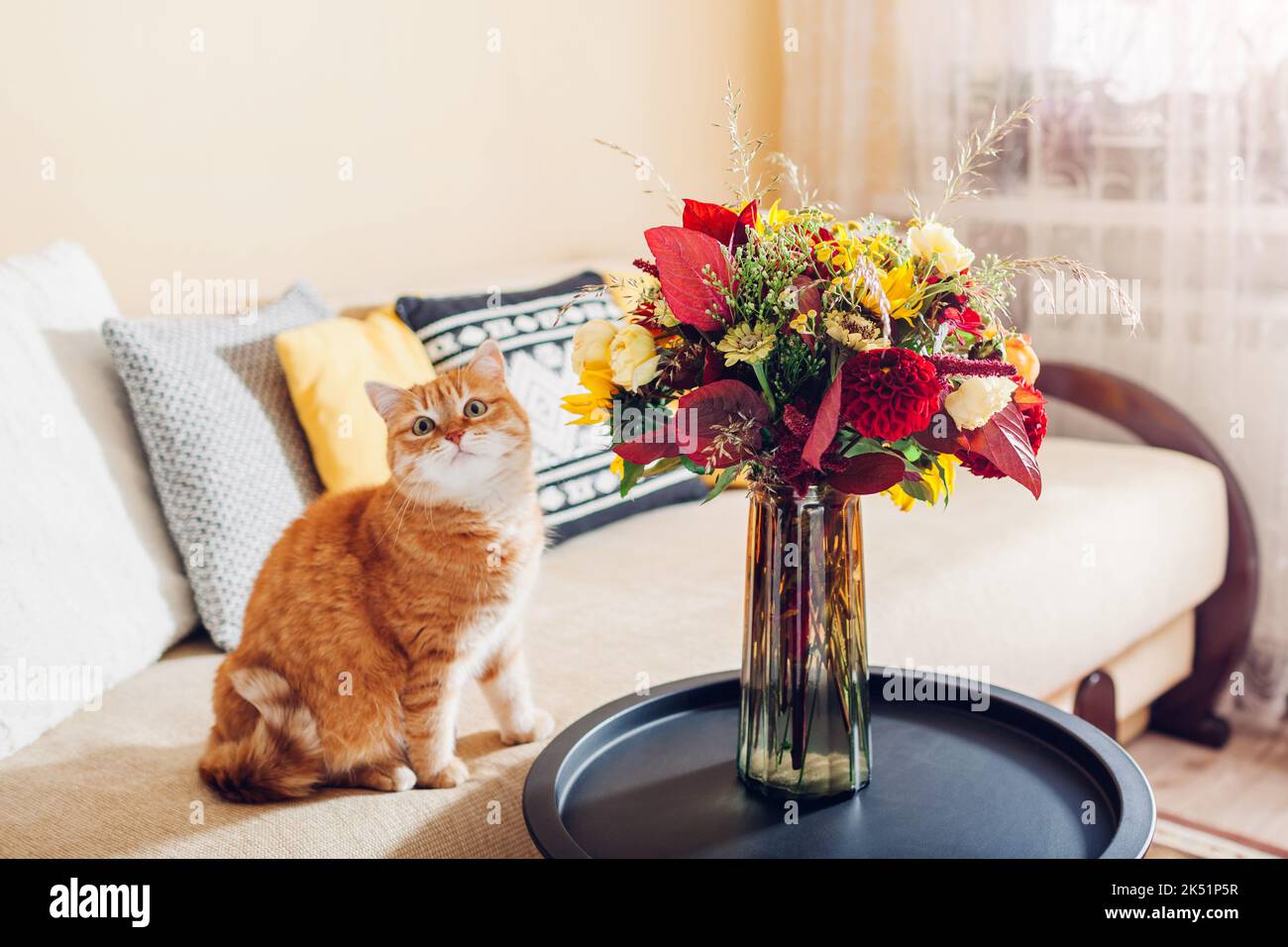 Chat de gingembre relaxant par un bouquet de fleurs d'automne mis dans un vase sur une table. Un animal drôle se sent à l'aise sur le canapé. À la maison. Banque D'Images
