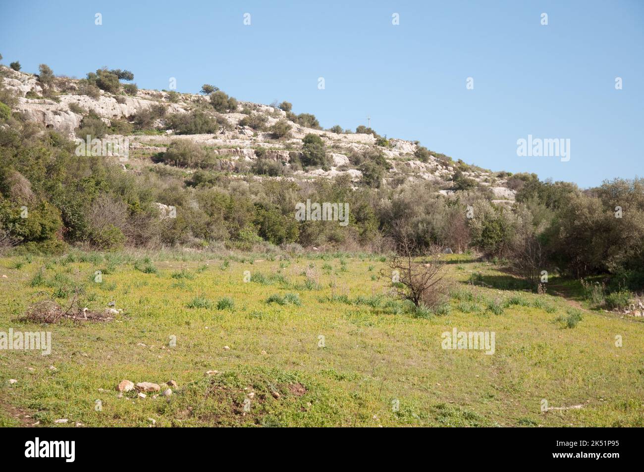 Panorama, hors de Rosolini, province de Syracuse (Syracuse), Sicile, Italie. Champs, arbres, rochers, buissons, petites collines en arrière-plan. Coco. Sicilienne Banque D'Images