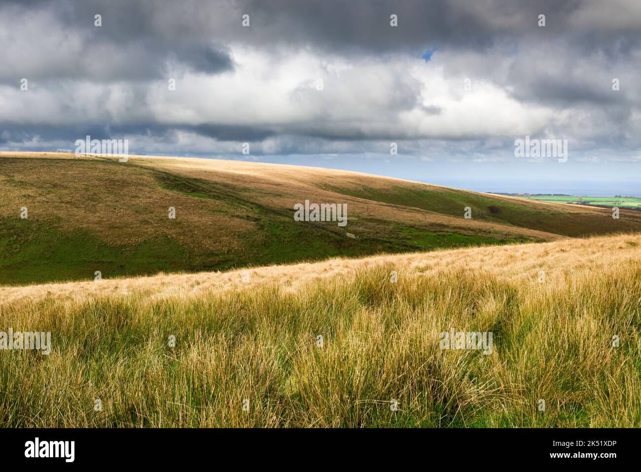 Les chaînes dans le parc national d'Exmoor sur le Devon et la frontière du Somerset, en Angleterre. Banque D'Images