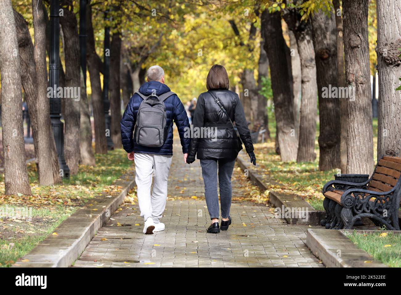 Couple marchant dans le parc d'automne, vue sur une allée avec des feuilles jaunes tombées Banque D'Images