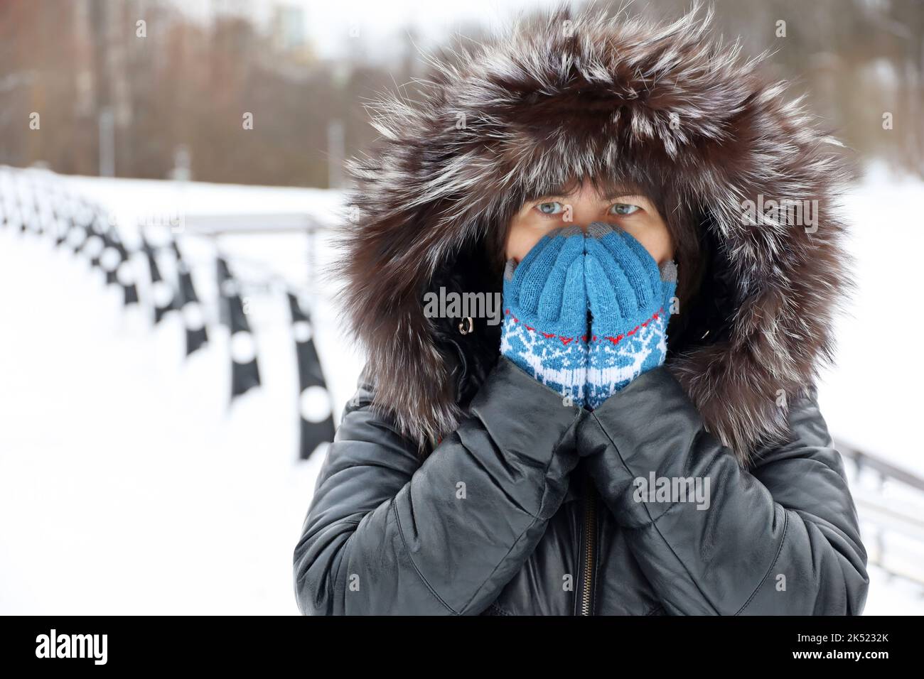Temps de gel en hiver, femme en cuir manteau avec capuche en fourrure marchant dans une rue pendant la neige et couvrant son visage par les mains dans des gants tricotés Banque D'Images