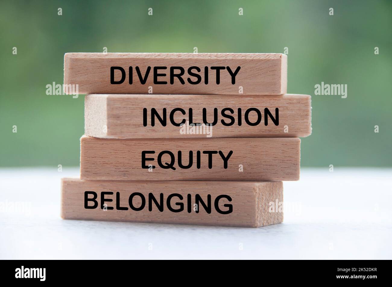 Blocs en bois avec texte - diversité, inclusion, équité et appartenance avec un arrière-plan de nature floue. Banque D'Images
