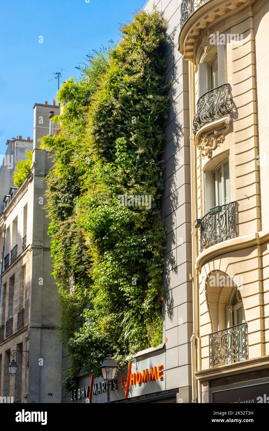 France, Paris, quartier du Marais, le mur vert de l'Homme du BHV Banque D'Images
