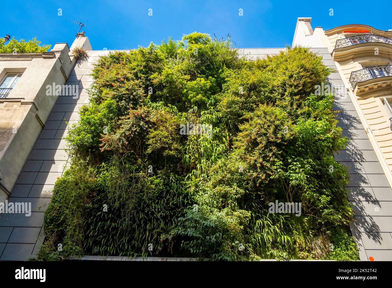France, Paris, quartier du Marais, le mur vert de l'Homme du BHV Banque D'Images