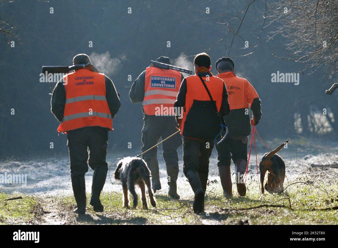France, Doubs, chasse, battement de sanglier, lieutenants de chasse au loup Banque D'Images