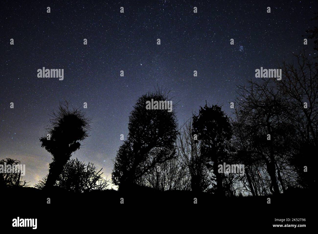 France, Doubs, arbres, nuit, ciel étoilé, Pléiades Banque D'Images