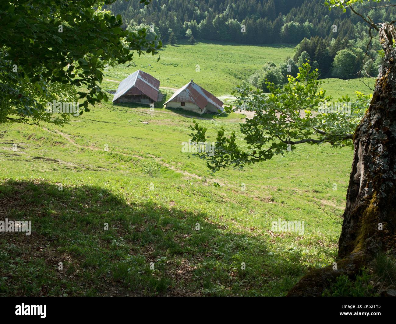 France, Savoie, gamme Bauges, Géoparc mondial de l'UNESCO, traverse de Trélod, chalets alpins Banque D'Images