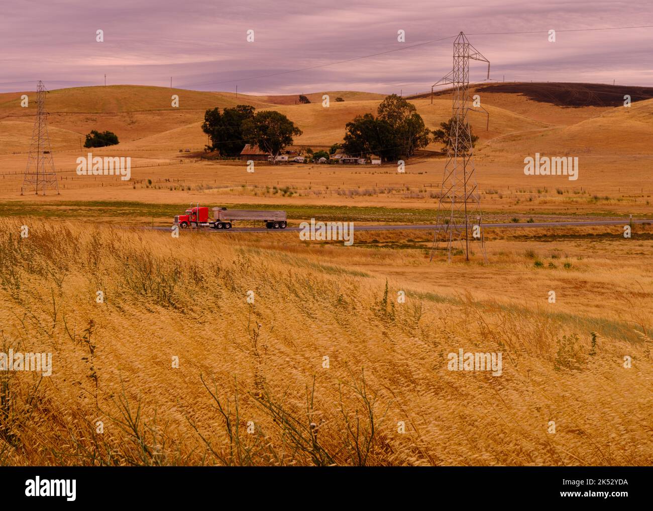 Un environnement agricole d'herbe blanchie et de champs brûlée de sécheresse sévère Banque D'Images