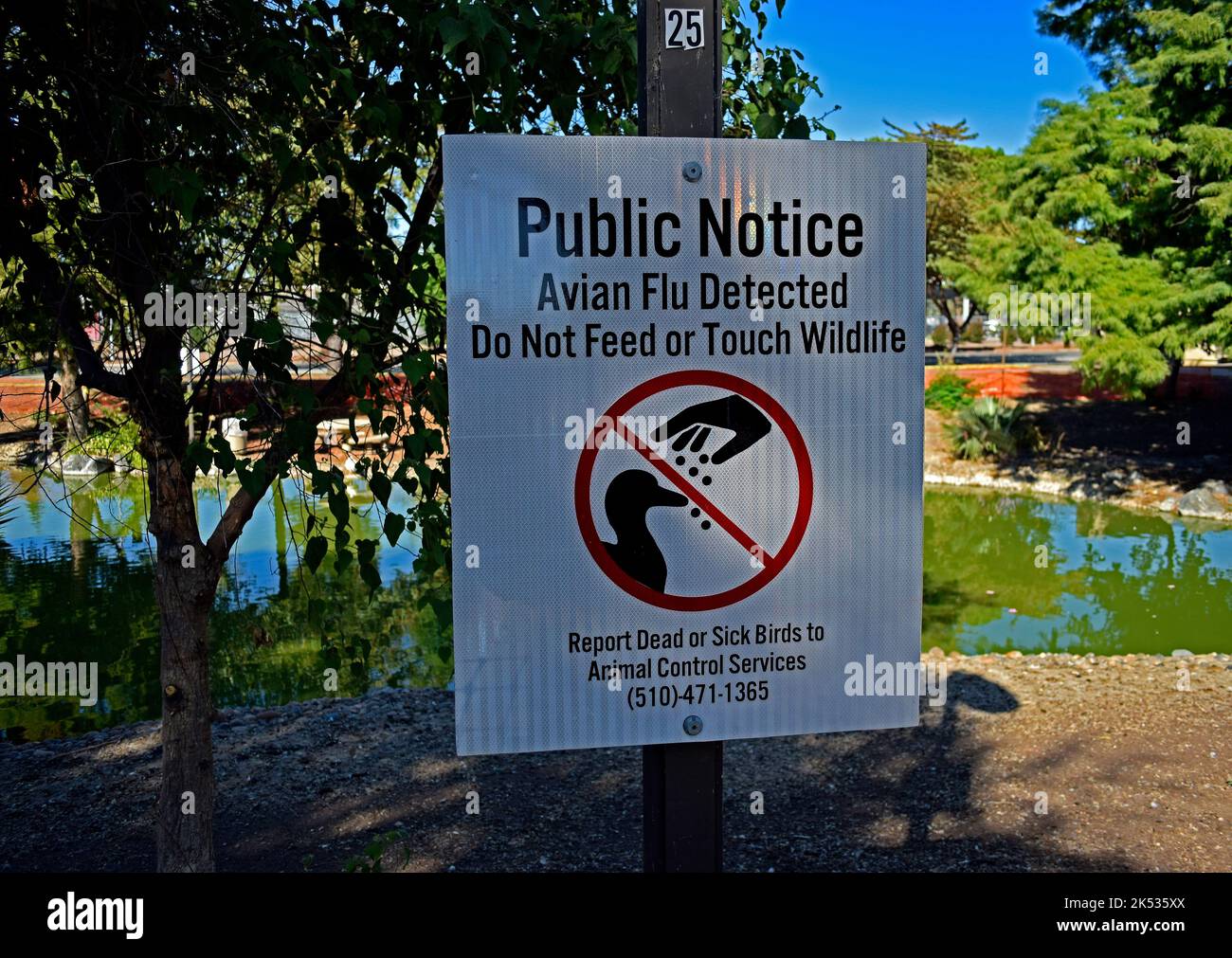 Étang de parc avec la sauvagine clôturée à Union City, en Californie et grippe aviaire détectée ne pas nourrir ou toucher le panneau d'avis public de la faune, signaler les oiseaux morts ou malades aux Services de contrôle des animaux Banque D'Images