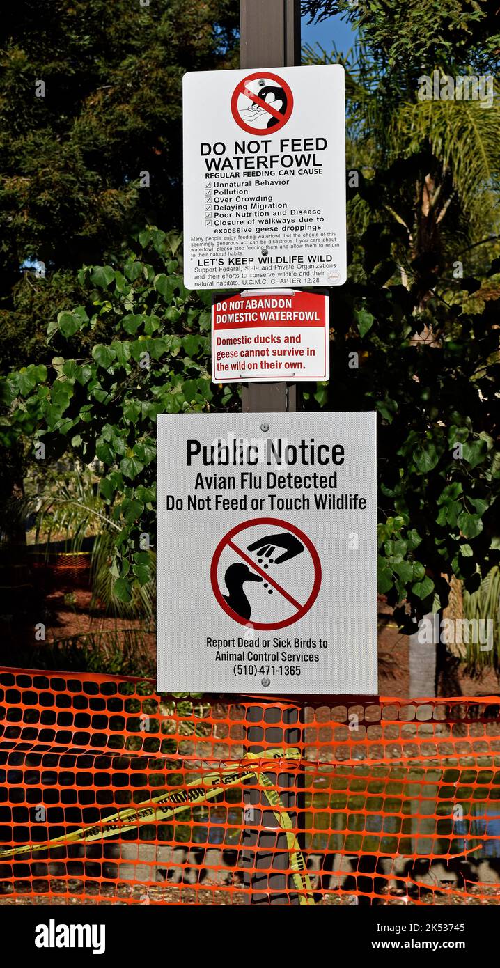 Étang de parc avec la sauvagine clôturée à Union City, en Californie et grippe aviaire détectée ne pas nourrir ou toucher le panneau d'avis public de la faune, signaler les oiseaux morts ou malades aux Services de contrôle des animaux Banque D'Images
