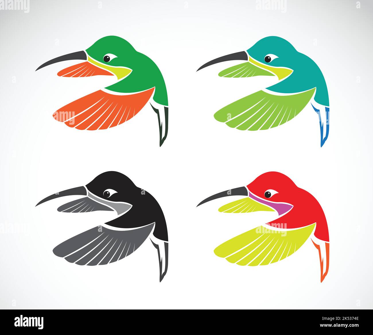 Image vectorielle de colibri sur fond blanc. Illustration vectorielle superposée facile à modifier. Animaux sauvages. Illustration de Vecteur