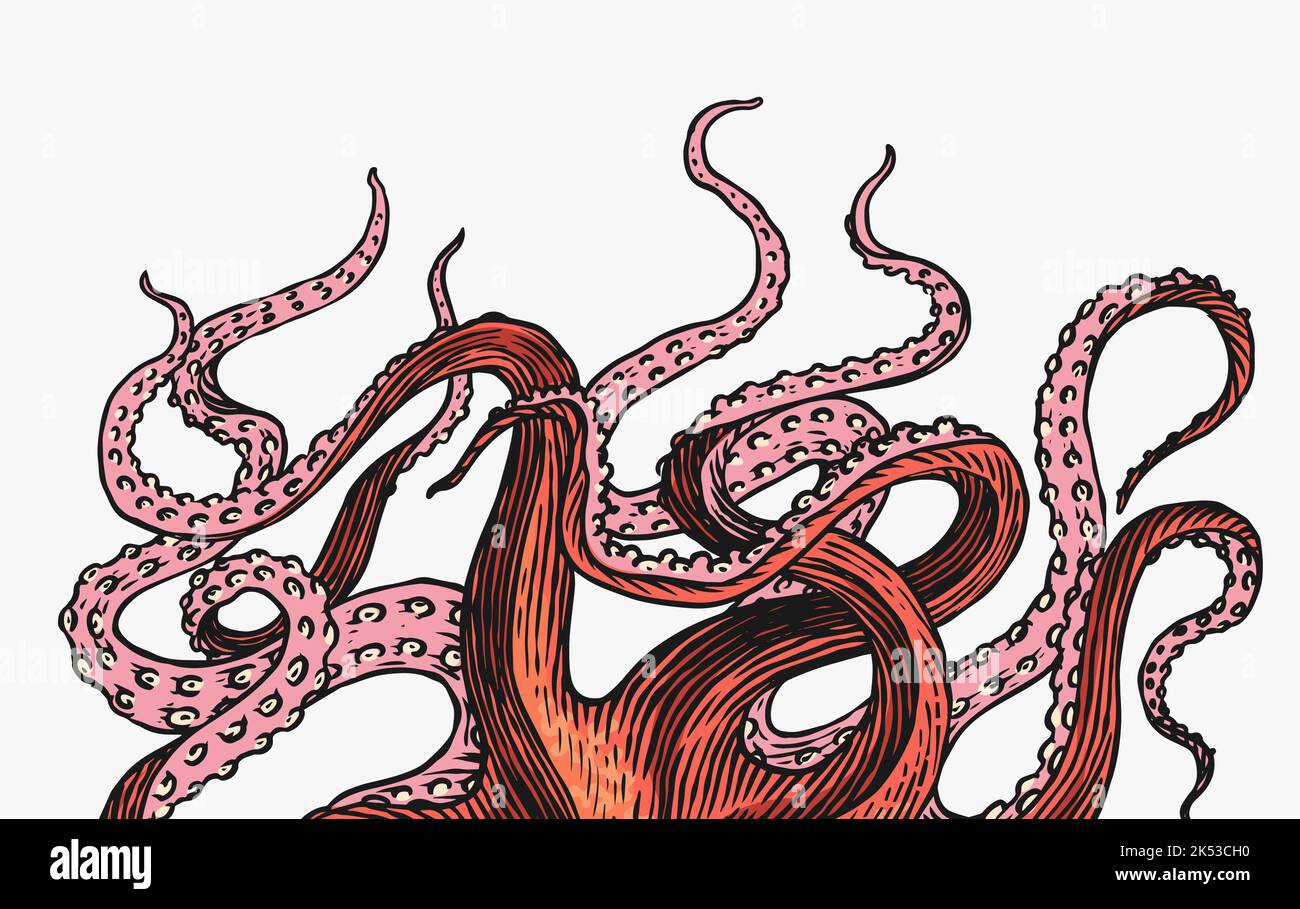 Tentacules d'octopus. Gravé à la main, dessiné dans un vieux croquis, créature vintage. Marin ou marin, monstre. Animal dans l'océan. Modèle pour logos, étiquettes Illustration de Vecteur