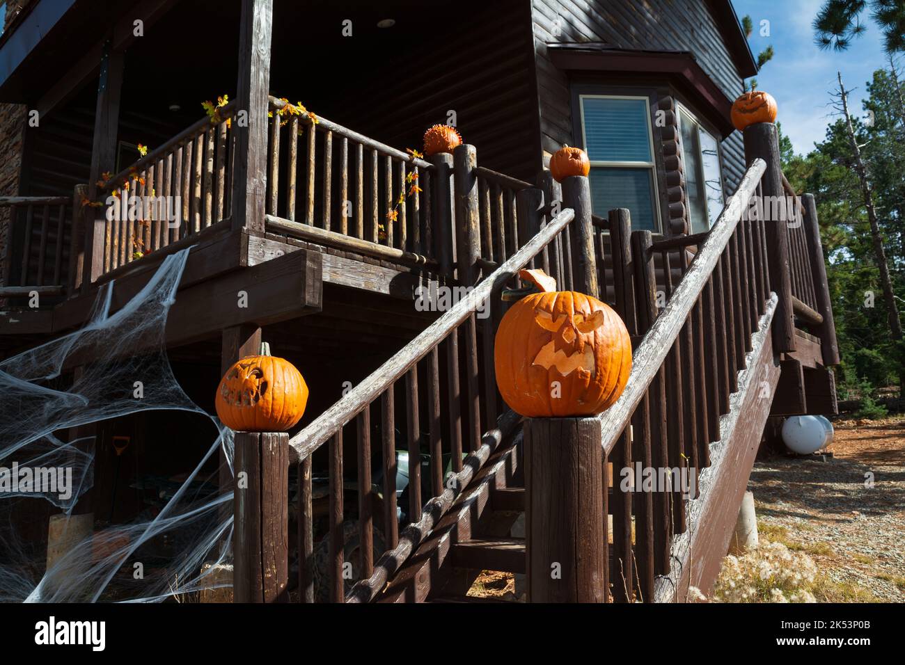 Une cabane dans une forêt de l'Utah est décorée de lanternes et de toiles d'araignée pour Halloween. Banque D'Images