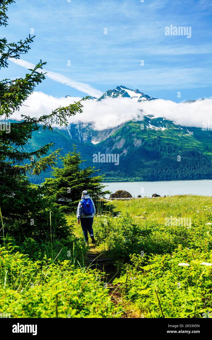 Femme randonnée à Moose Meadow ; Chilkat Inlet et parc national et réserve de Glacier Bay ; Chilkat State Park ; Haines ; Alaska ; États-Unis Banque D'Images