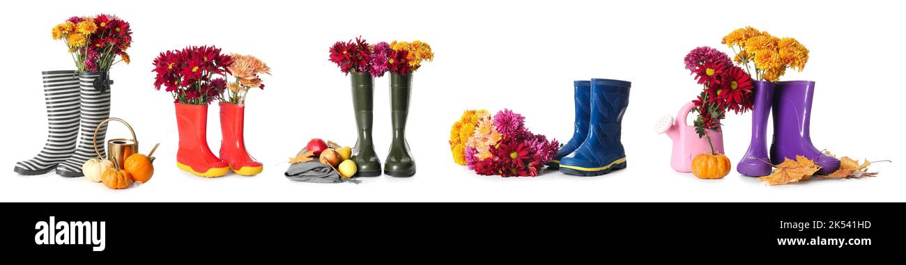 Collage de fleurs de chrysanthème fraîches avec bottes en caoutchouc, arrosoirs et fruits sur fond blanc Banque D'Images