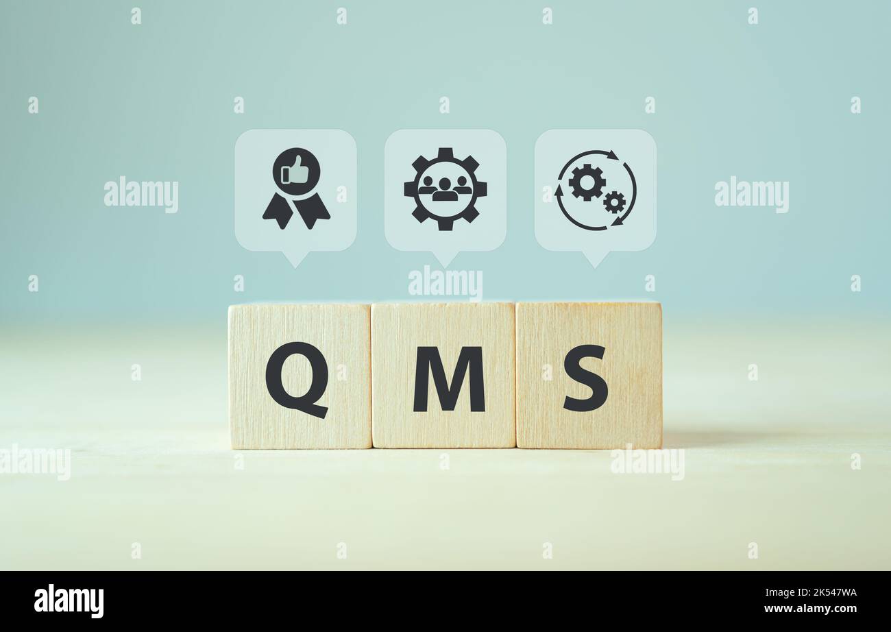 QMS, concept de système de gestion de la qualité. Système officiel pour la réalisation des politiques et des objectifs de qualité. Norme ISO 9001. Cubes en bois avec abbrev Banque D'Images