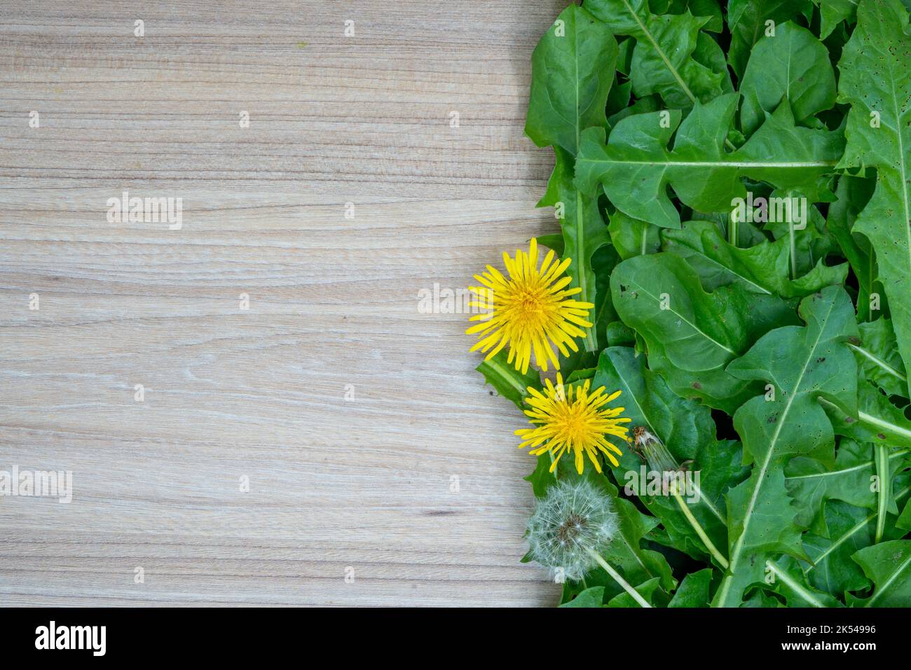Lot De 8 Boules En Mousse Florale Humide - Pour Arrangements Frais, Séchés Ou Artificiels - Idéal Fleuristes Et DIY