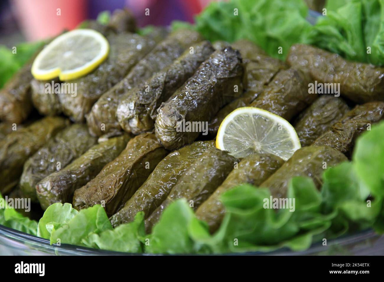 Hors-d'œuvre turc « feuilles de raisin soufflé » (turc : Yarma Yaprak) sur l'assiette à dîner. Banque D'Images