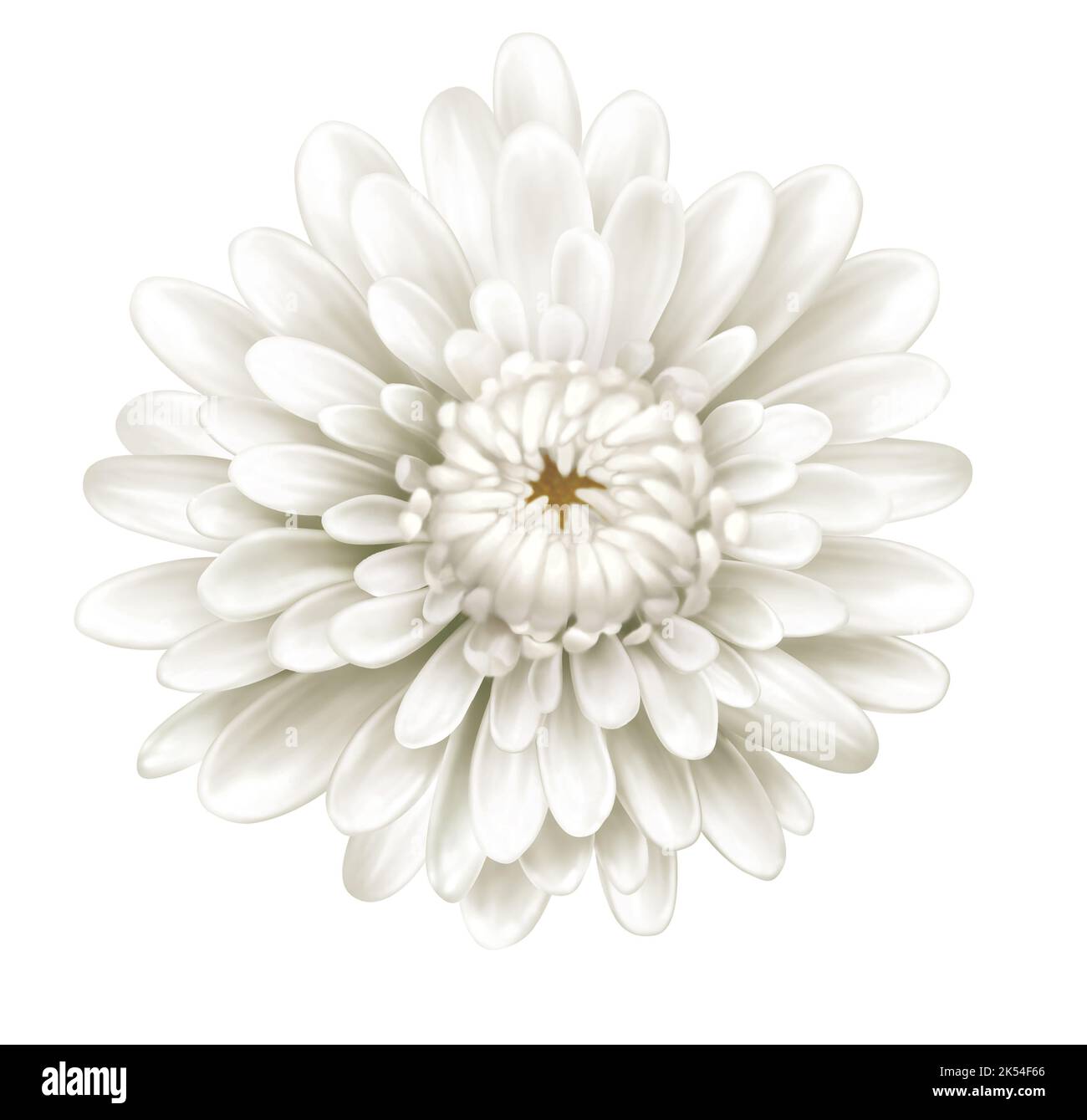 3D Lotus Chrysanthème Fleurs Outils De Décoration De Gâteau