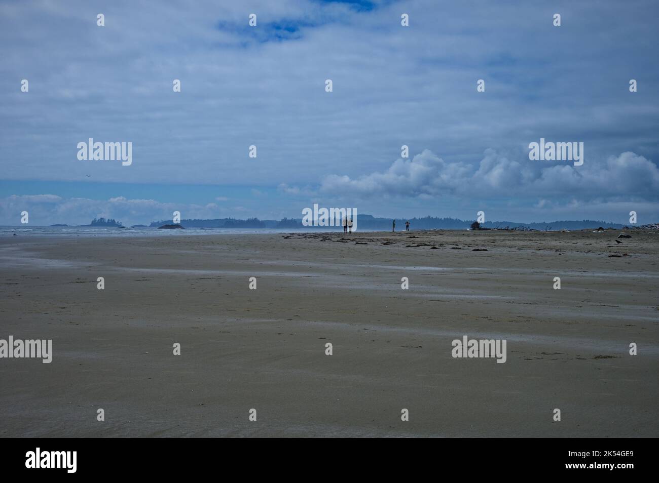 Belle plage de sable à Tofino, Canada, Colombie-Britannique Banque D'Images