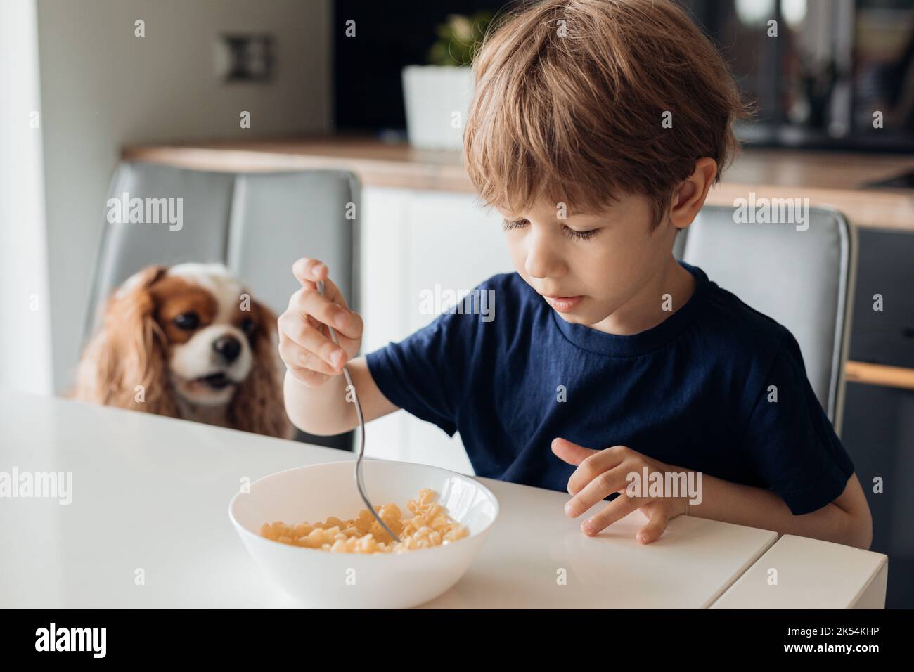 Filtro Aria Pre Motore Per Aspirapolvere Hoover H-free 500 - Ricambio Originale 35602165 - Foto 9