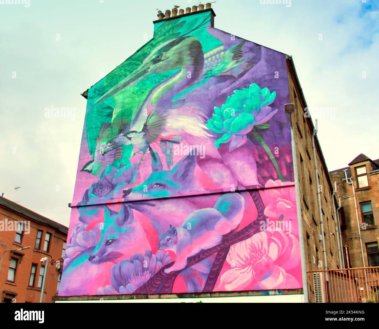 Une célébration du premier cigogne à être sauvage né au royaume-uni pendant des siècles à la fin de la tenement à Partick. glasgow Banque D'Images