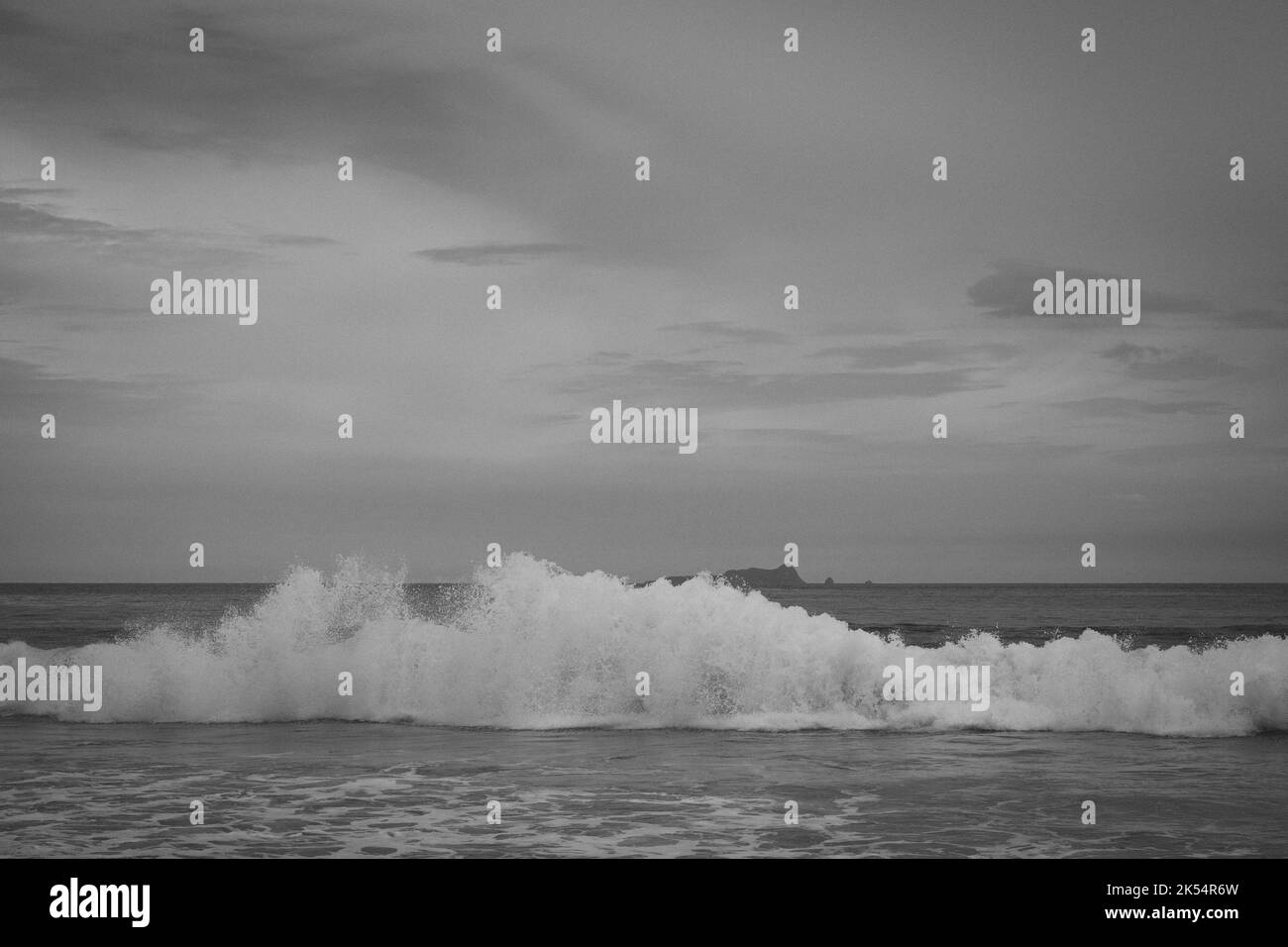 Une photo en niveaux de gris des vagues de l'océan qui lavent la côte Banque D'Images