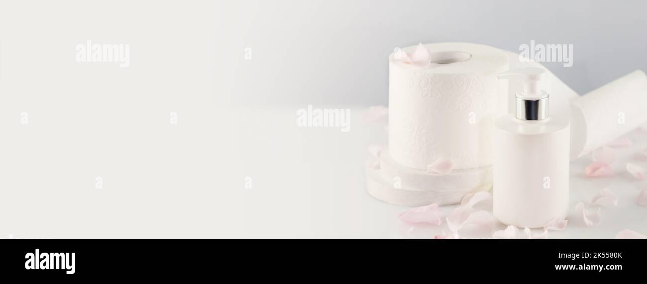 Banderole hygiénique avec rouleau de papier toilette et flacon distributeur Banque D'Images