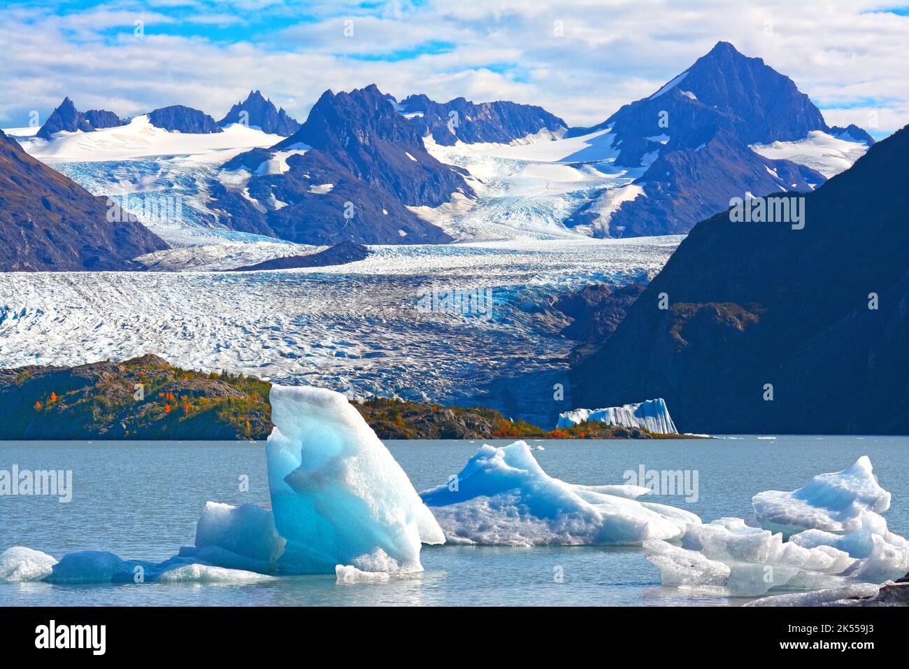 lac glacier en été, baie de Kachemak, Alaska Banque D'Images