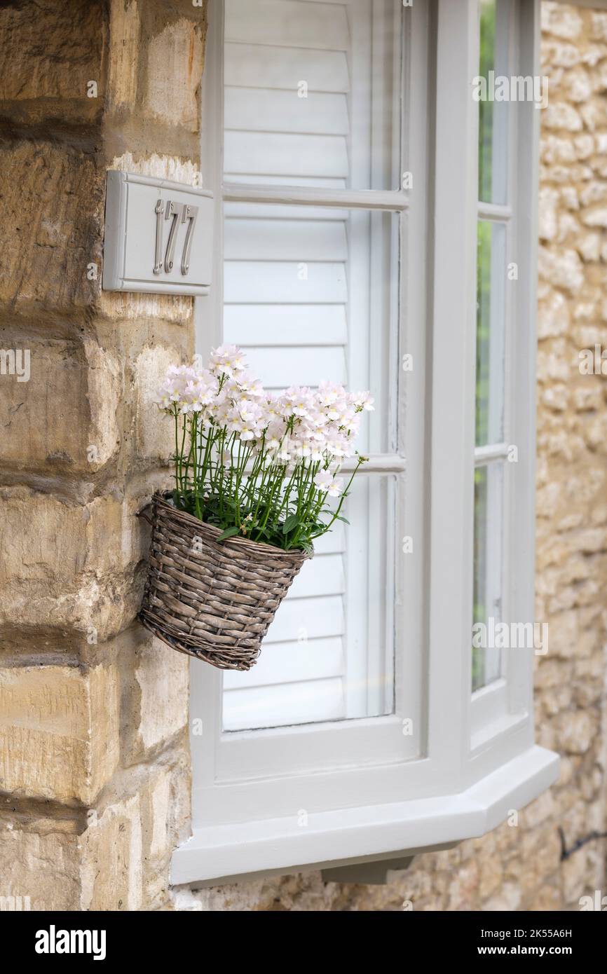 Un petit panier de fleurs pendu par la porte d'entrée d'une maison en pierre Cotswold. Banque D'Images