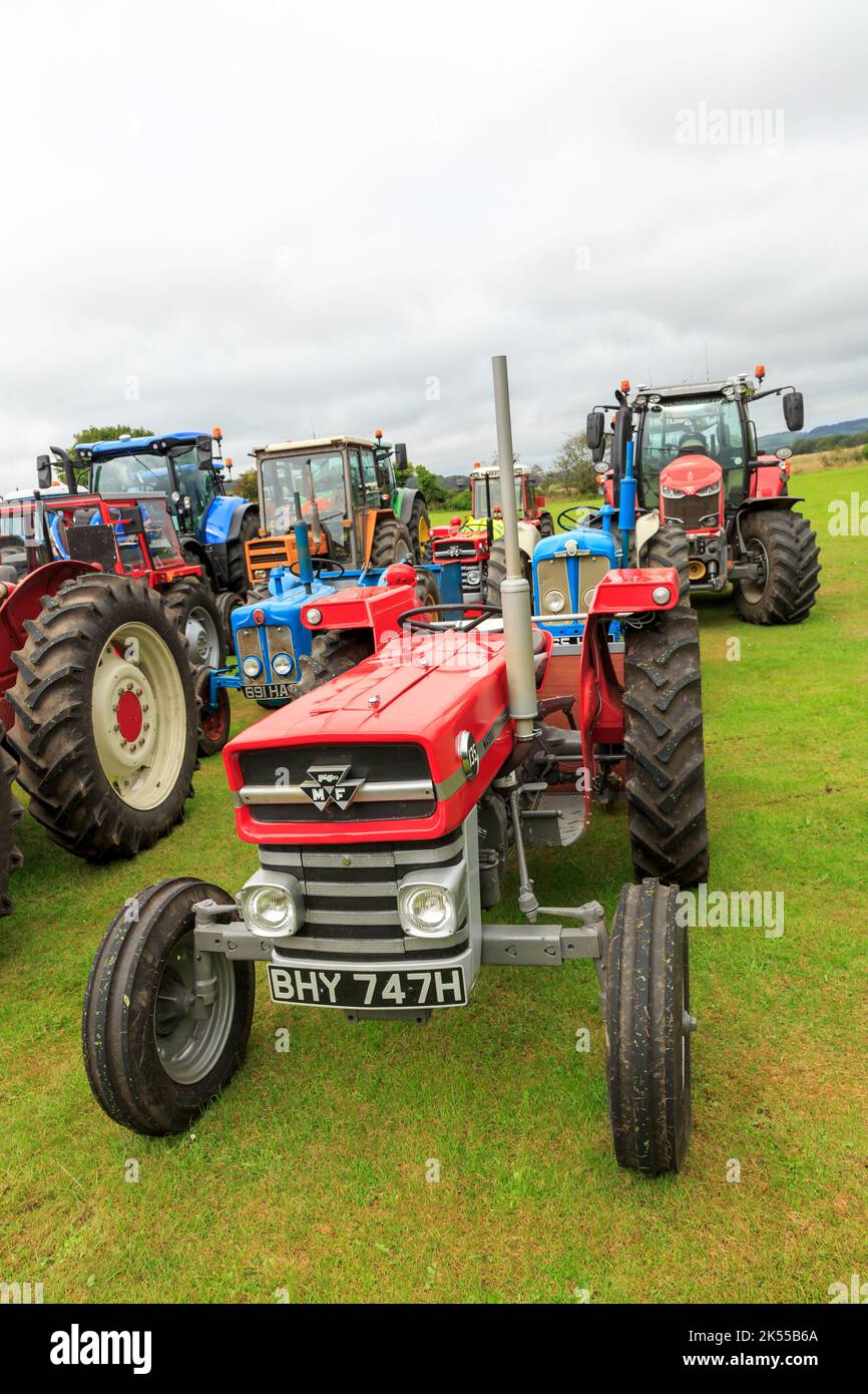 Brydkirk, Écosse - 04 septembre 2022 : un ancien Massey Ferguson 1970 135 a garé en attendant de participer à une course caritative locale Banque D'Images