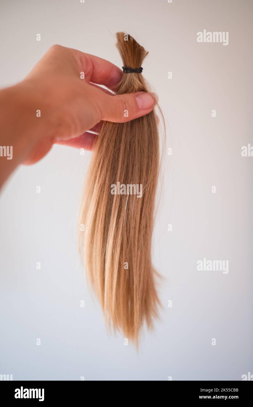 Coupe longue des cheveux de queue de cheval blonde naturels attachés ensemble. Banque D'Images