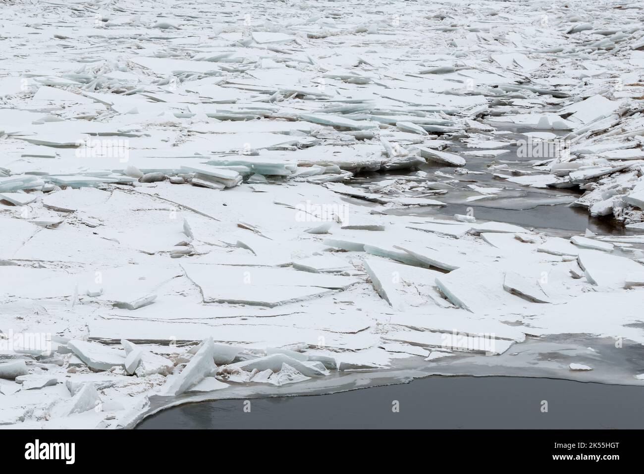 Rivière bloquée par la glace. De grandes plaques de glace brisée obstruent la rivière. La glace est principalement fraîche. Banque D'Images