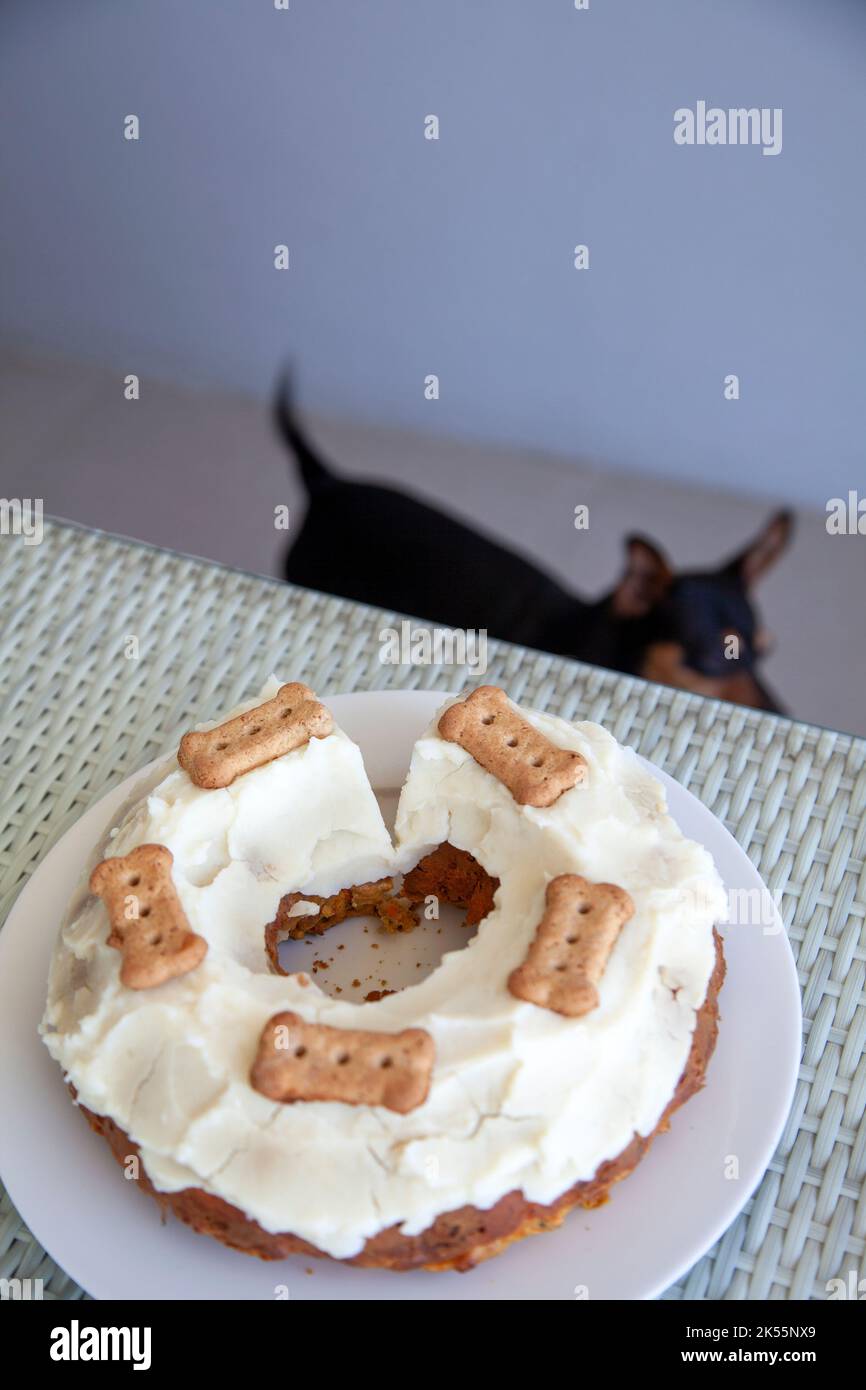 Chien au beurre de cacahuète et gâteau à la carotte avec glaçage à la pomme de terre et au