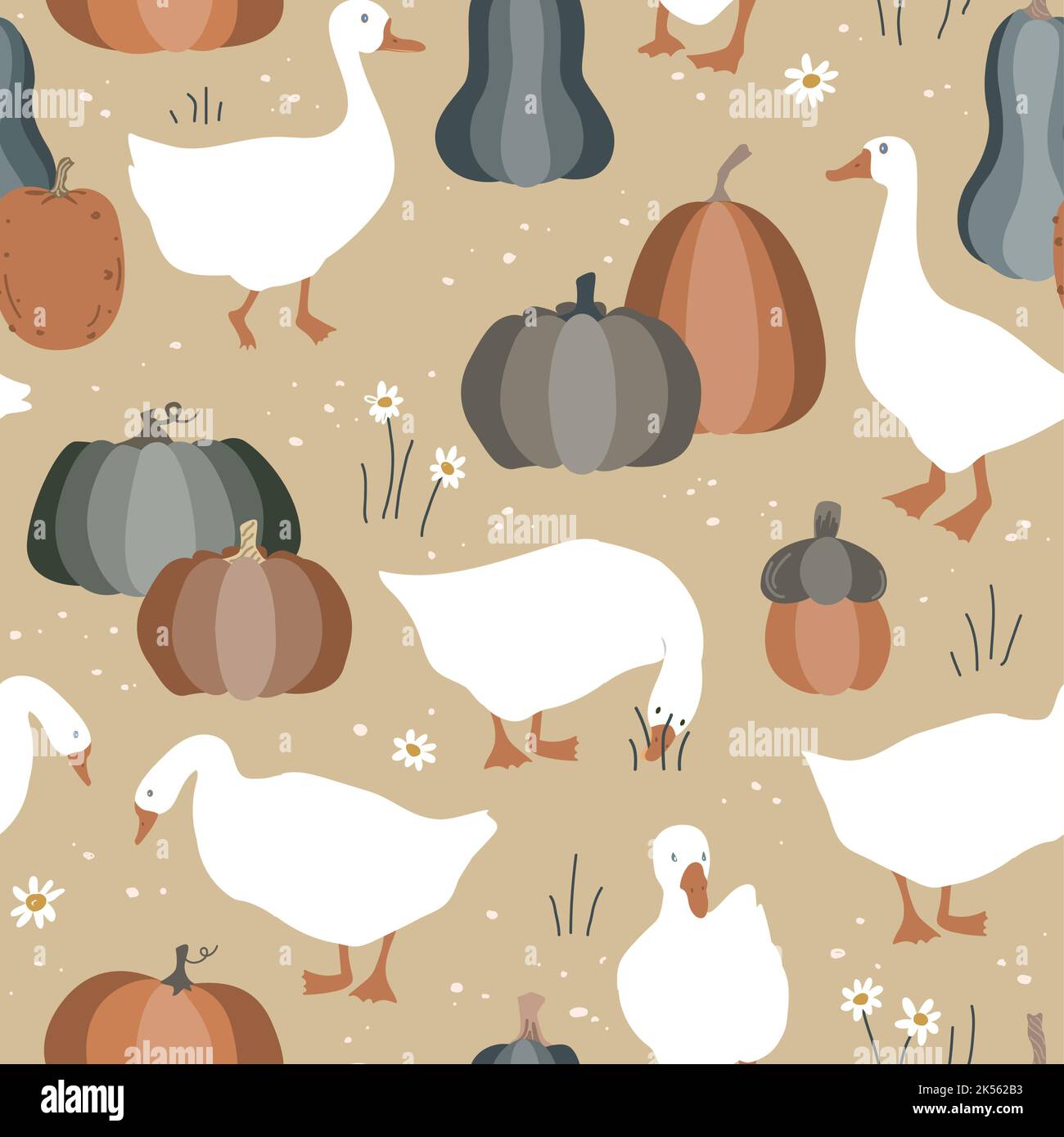 Motif joyeux Thanksgiving sans coutures avec de mignons oies et citrouilles. Arrière-plan du vecteur de récolte d'automne Illustration de Vecteur