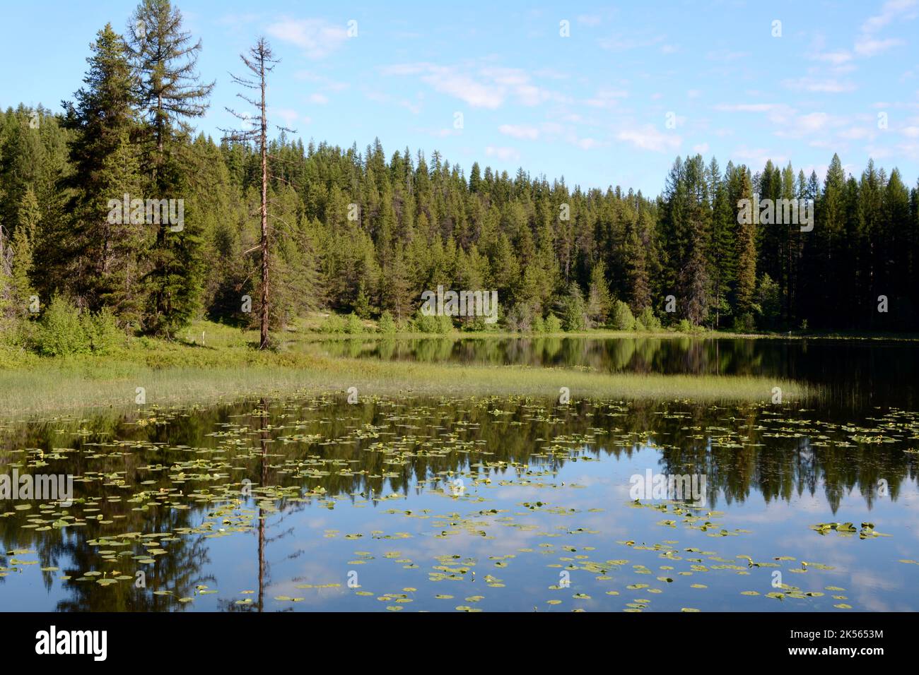 Un grand étang dans la réserve naturelle nationale de Little Pend oreille, près de la ville de Colville, dans le nord-est de l'État de Washington, États-Unis. Banque D'Images