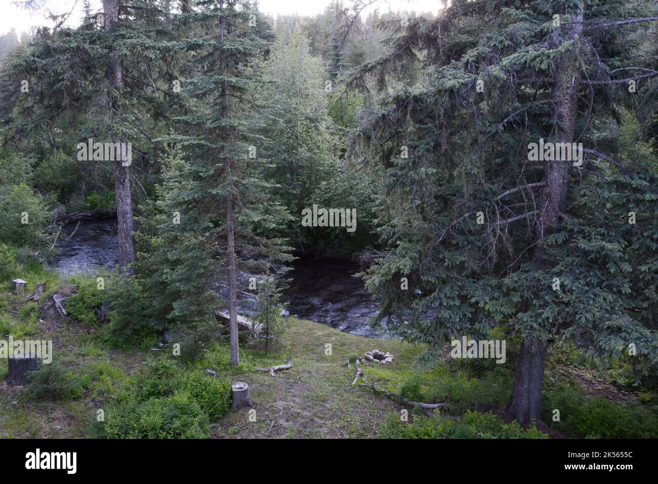 Un aperçu de la rivière Little Pend oreille qui traverse la réserve naturelle nationale de Little Pend oreille, près de Colville, dans l'État de Washington, États-Unis. Banque D'Images