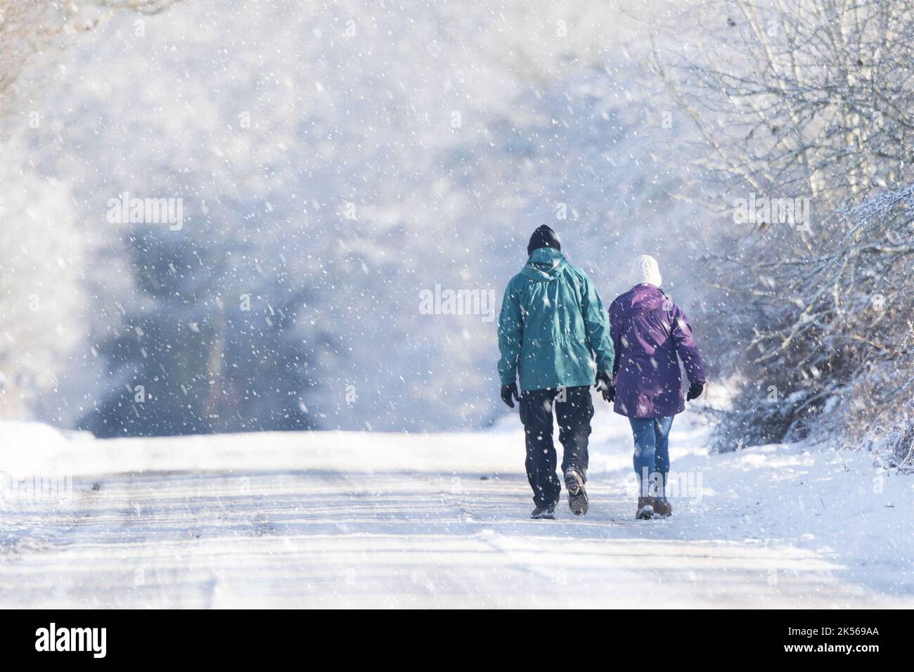Vue arrière d'un couple marié isolé à l'extérieur en hiver en marchant sur une route de campagne vide, enneigée, pendant qu'il neige. Banque D'Images