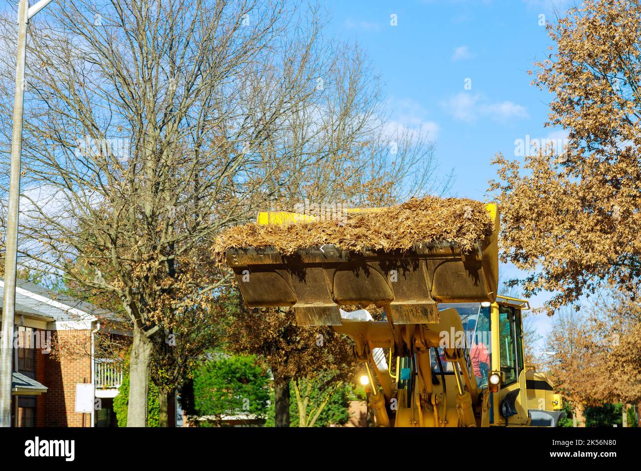 Au cours de l'automne, les employés municipaux effectuent beaucoup de travail pour éliminer les feuilles mortes à l'aide d'une pelle hydraulique ou d'un camion près des maisons Banque D'Images