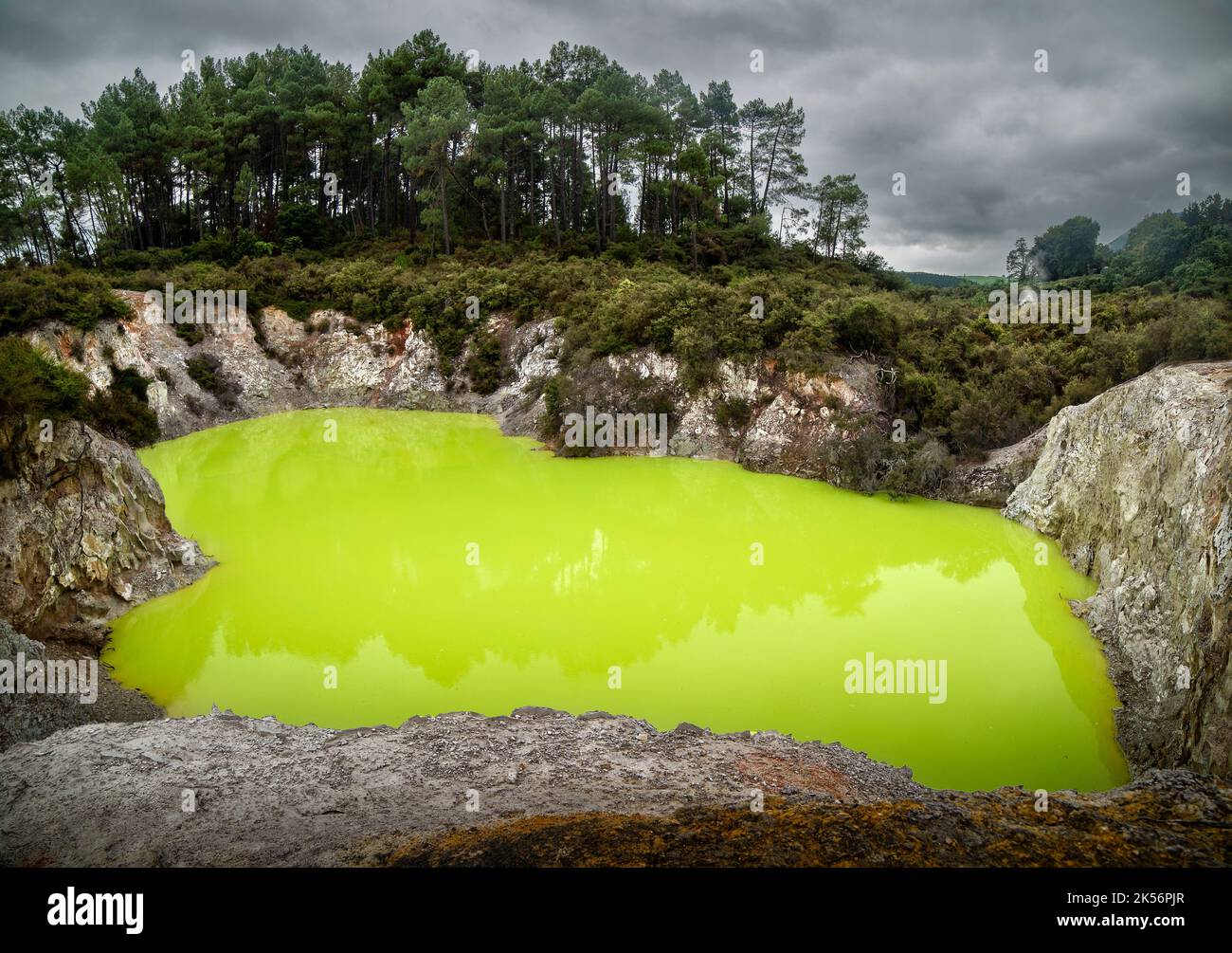 Karikitea Roto lake, soufre ou 'la baignoire du diable', mettant en vedette les couleurs vives vert acide à Wai-O-Tapu zone géothermique de Rotorua, Nouvelle-Zélande Banque D'Images