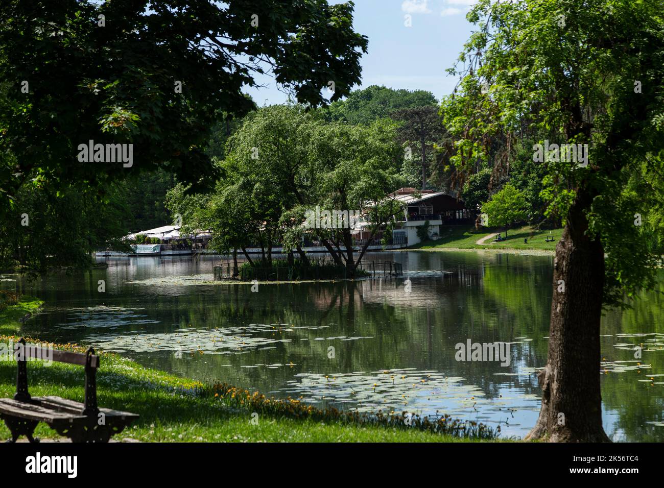 Craiova, comté de Dolj, Roumanie – 14 mai 2022 : l'île des cigognes et des cygnes sur le Grand lac dans le parc Romanescu à Craiova, Roumanie. Banque D'Images