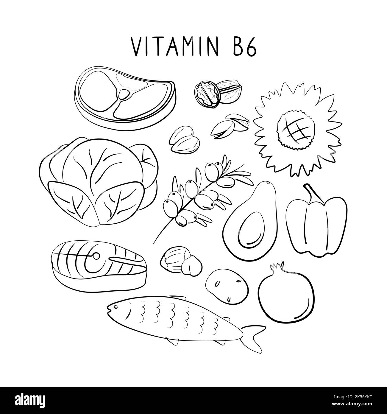 Vitamine B6 pyridoxine. Groupes de produits sains contenant des vitamines. Ensemble de fruits, légumes, viandes, poissons et produits laitiers Illustration de Vecteur