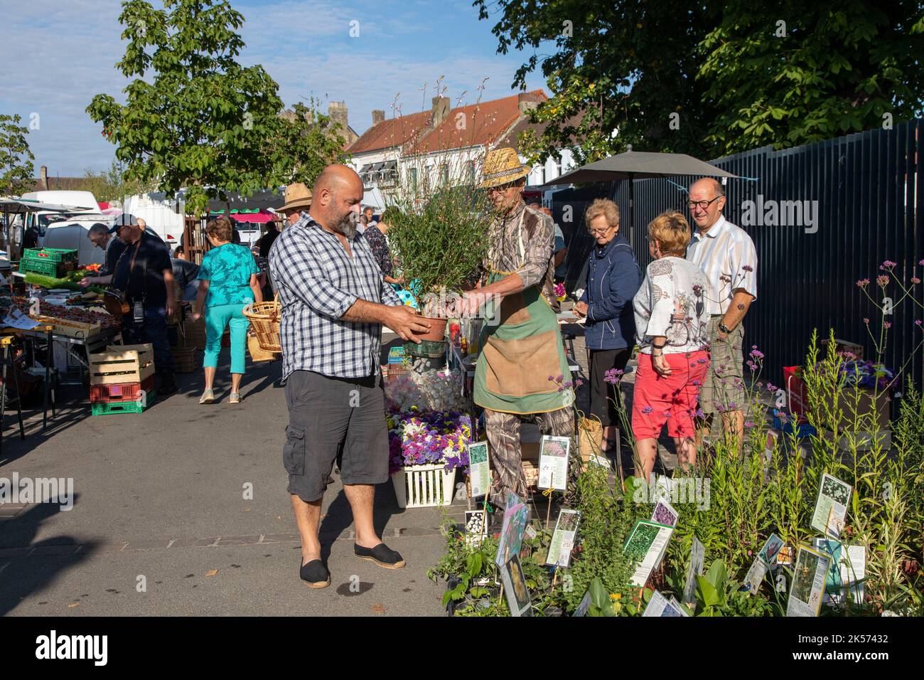 France, pas de Calais, Audriicq, marché mercredi matin sur la place des Marronniers Banque D'Images