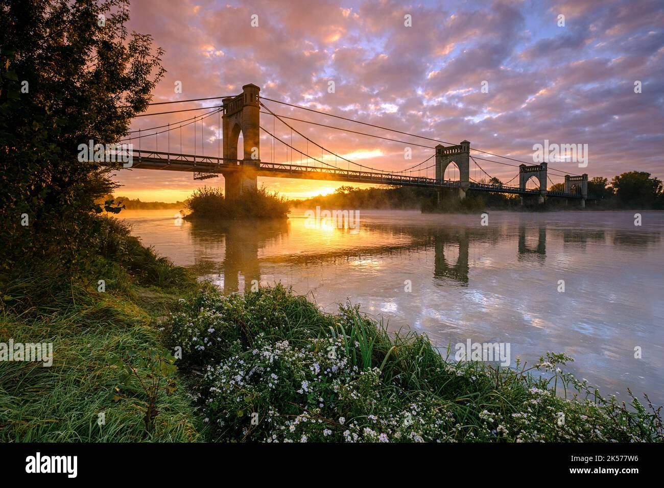 France, Indre et Loire, Vallée de la Loire sur la liste du patrimoine mondial de l'UNESCO , le pont suspendu de Langeais sur la Loire Banque D'Images