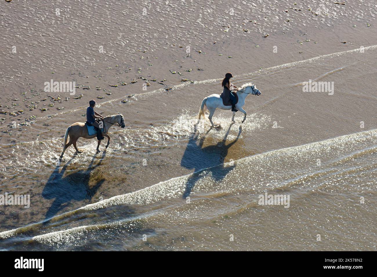 France, Vendée, St Jean de Monts, équitation sur la plage (vue aérienne) Banque D'Images