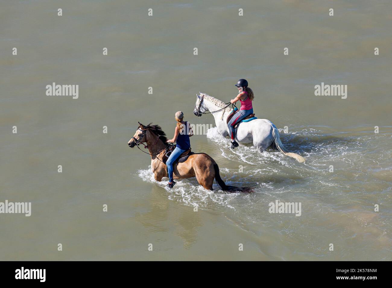 France, Vendée, St Jean de Monts, chevaux d'équitation dans la mer (vue aérienne) Banque D'Images